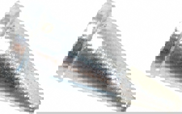 Soldering Iron Chisel Tip: 0.063